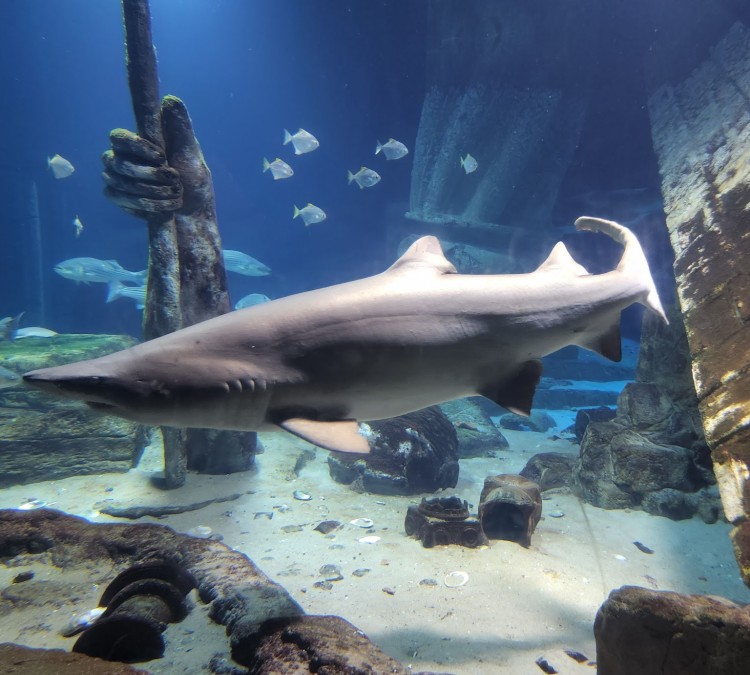 Long Island Aquarium (Riverhead,&nbspNY)